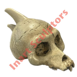 Skulls (2 pieces) - Twilight Princess